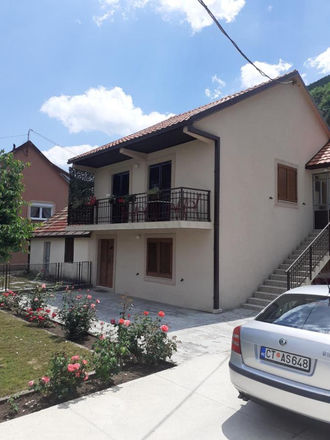 Apartman Damjanovic Cetinje Bagian luar foto